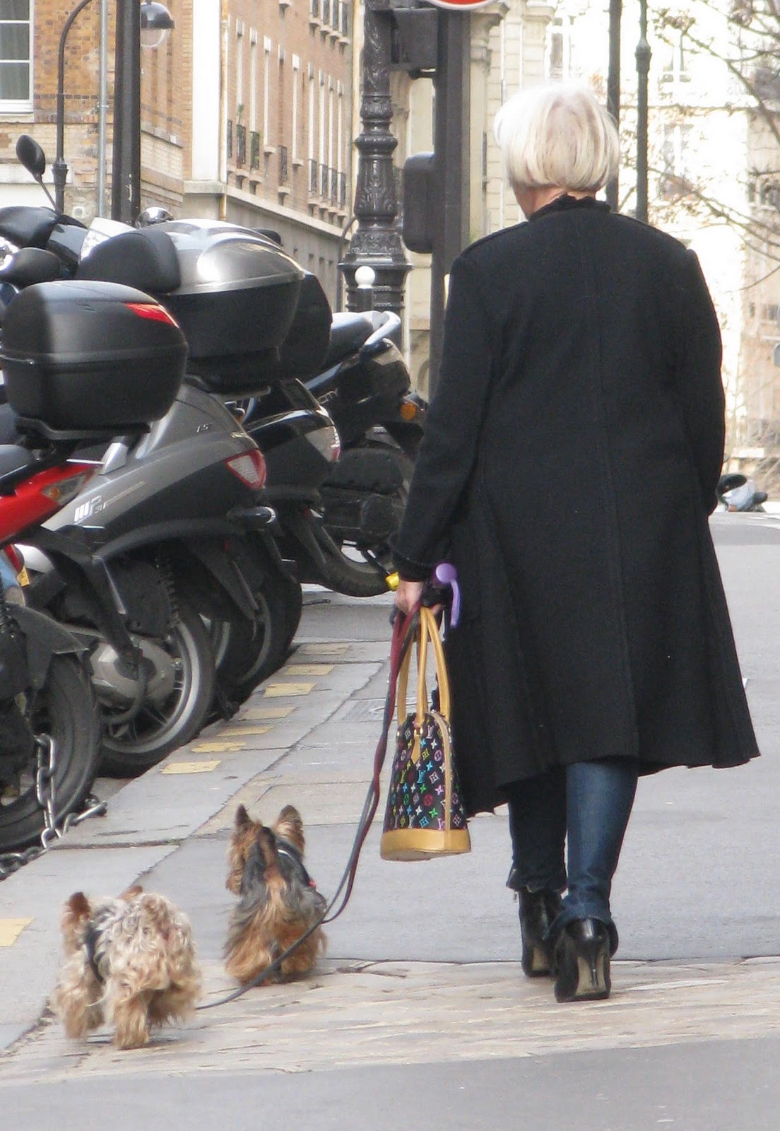 Just Another American in Paris: Pocket Dogs