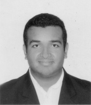 A los elefantes les cuesta mucho adaptarse, las cucarachas sobreviven a todo.