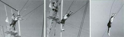 The Trapeze Swinger