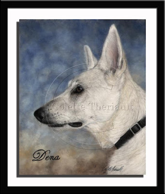 White German Shepherd Portrait in Pastel