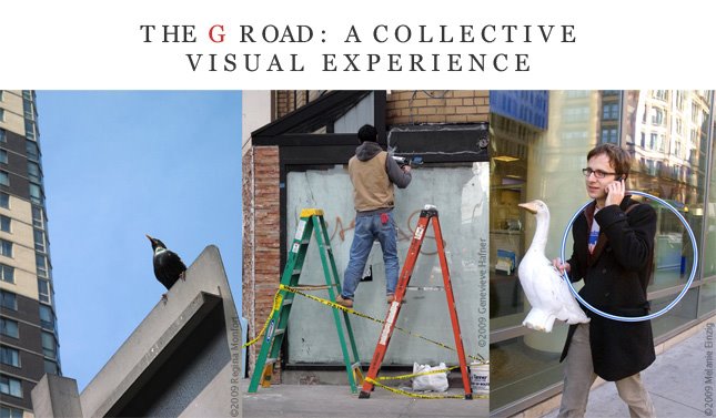 THE G ROAD : A COLLECTIVE VISUAL EXPERIENCE
