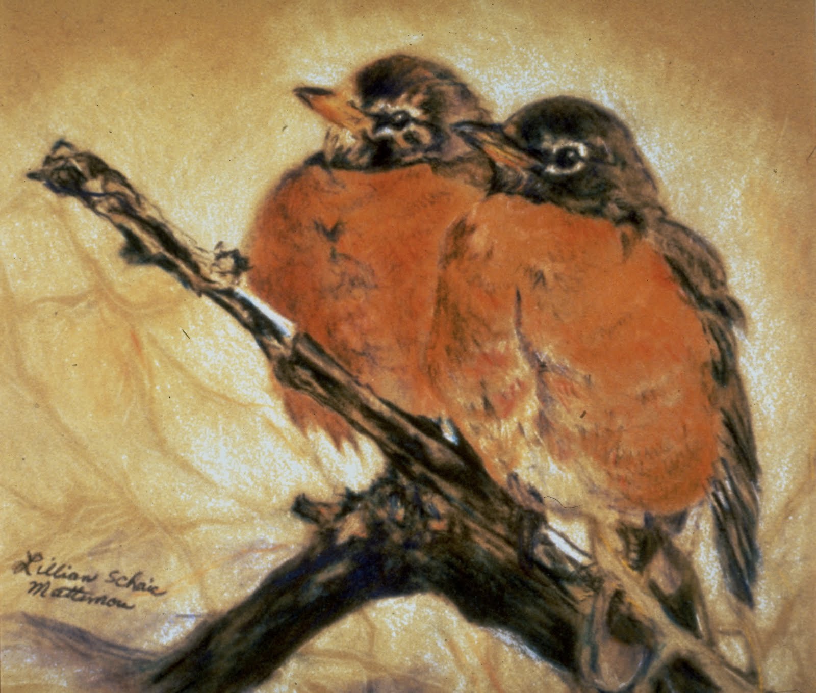 Art Life in Action The Colored Pencil Medium