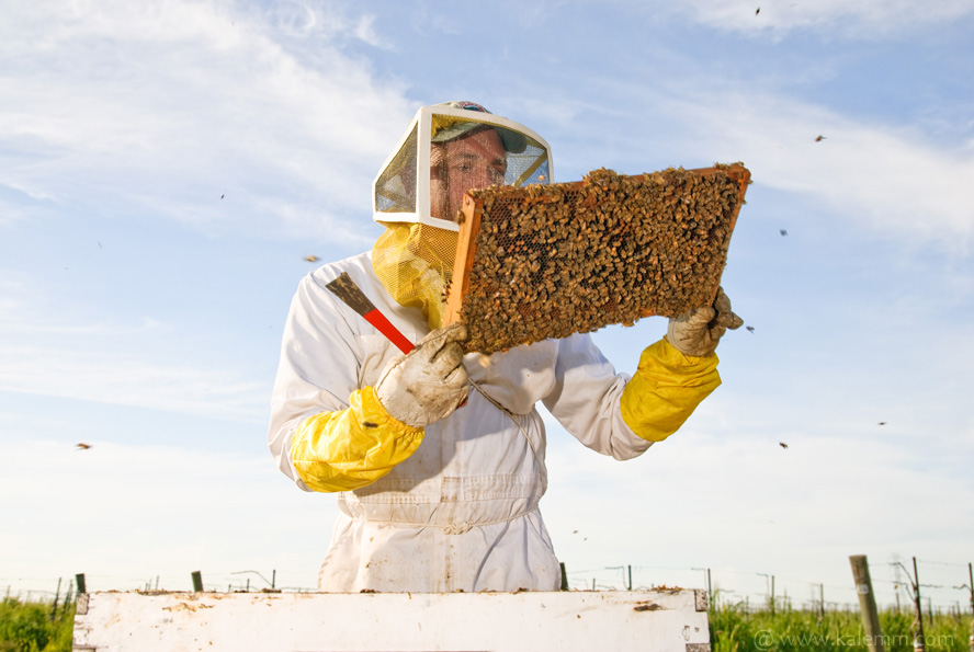 kpix Honey, There's a Problem