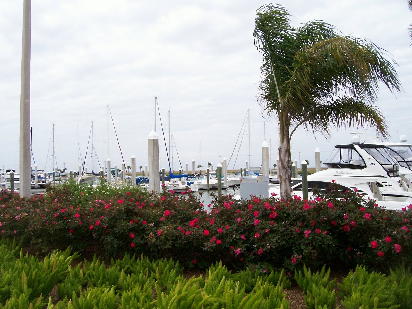 MV "Help Me Rhonda" Galveston, New Home at Harborwalk Marina