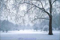 GREEN PARk sNOw