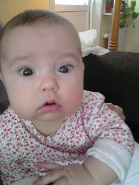 [image-upload-16-725807.jpg]