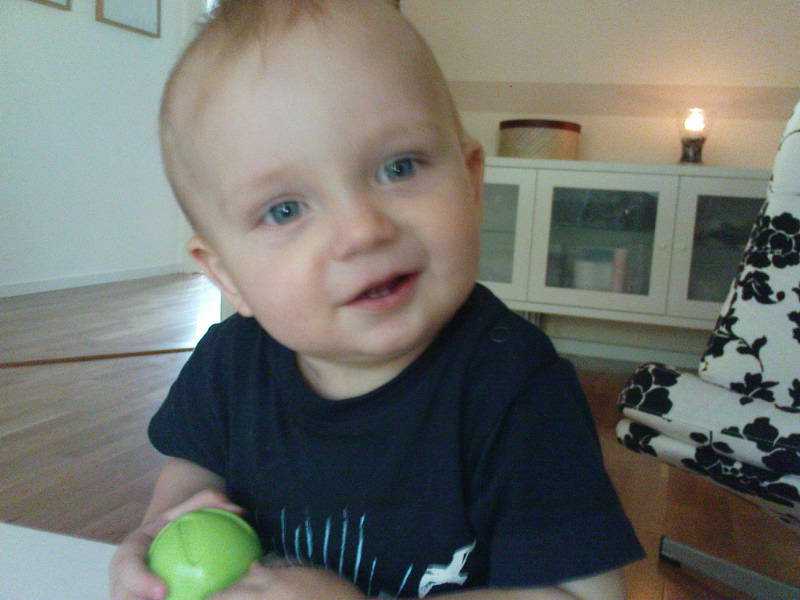 [image-upload-46-749670.jpg]