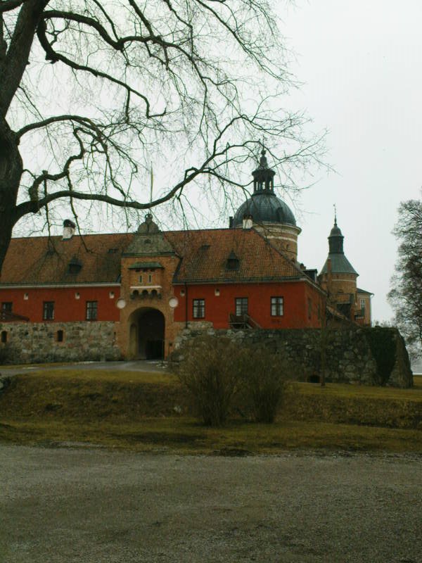 [image-upload-70-780596.jpg]