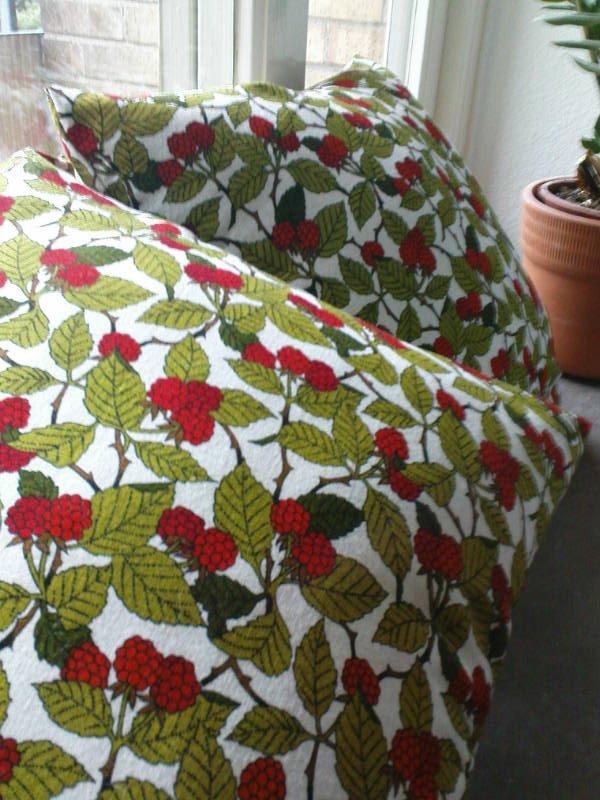 [image-upload-31-770797.jpg]