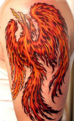 Tattoo Me Gallery: Fire Phoenix Tattoo