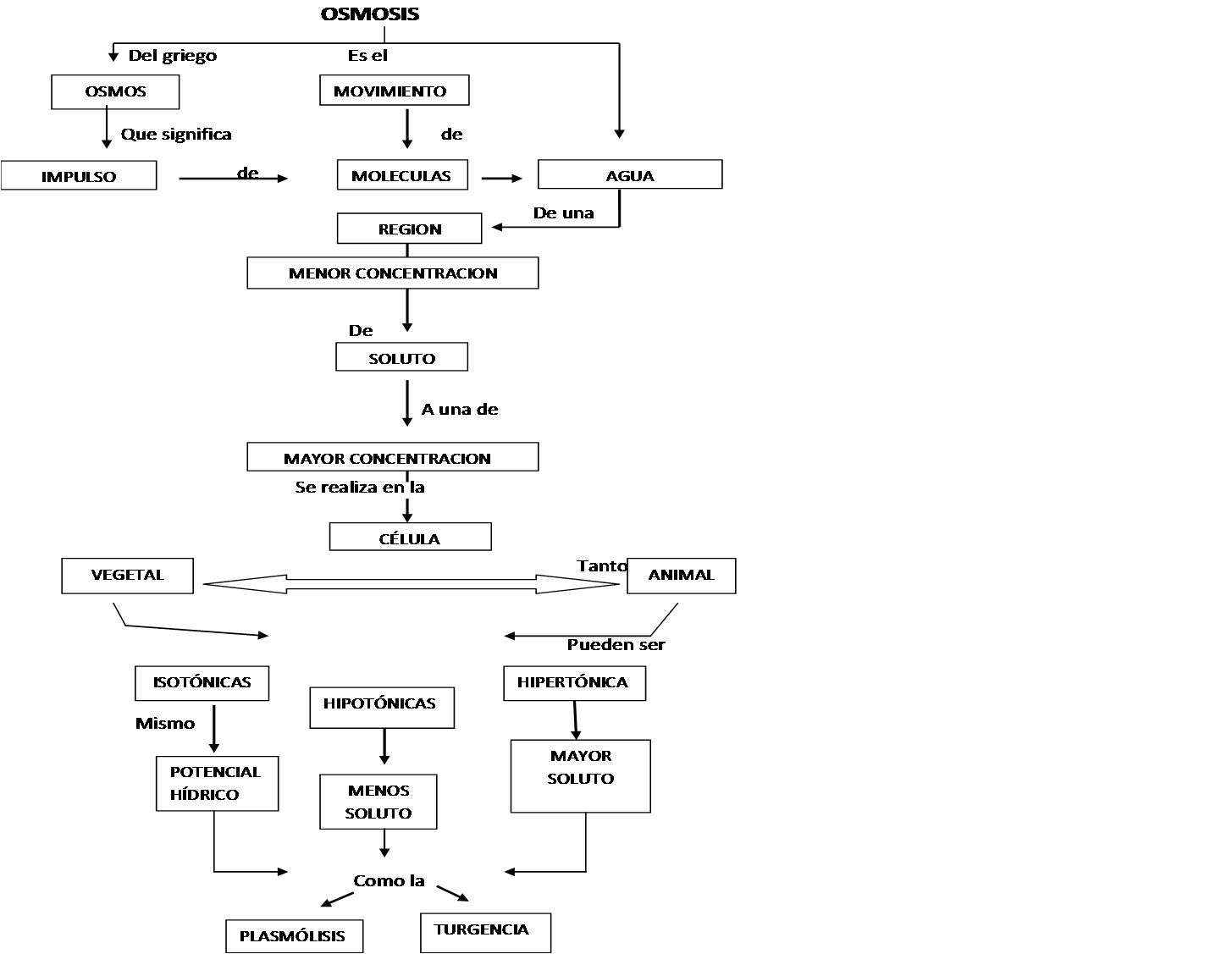 Abac MAPA CONCEPTUAL DE OSMOSIS
