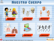 Juego Nuestro cuerpo