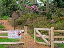 No Dogs Allowed ON or OFF Leash at BRG Heritage Rhododendrons