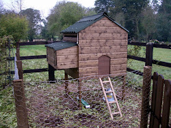 chicken coop muskegon heights 4