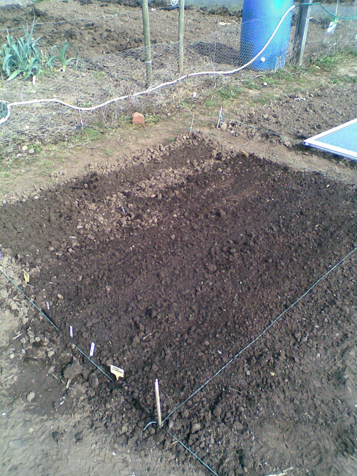 [seed+bed1.jpg]