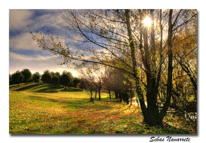 Arroyo de la Recomba