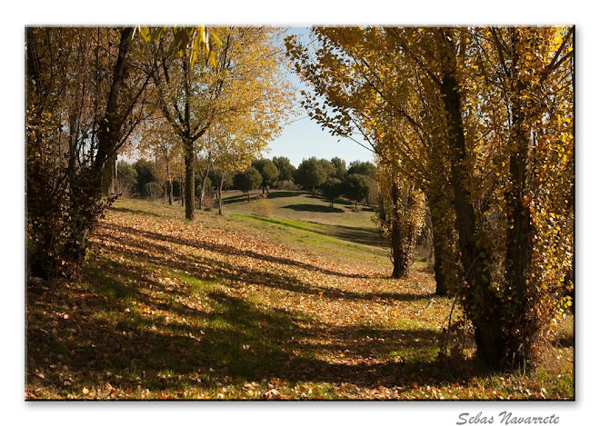 Otoño noviembre 2010