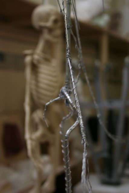 [IMG_6308.jpg]