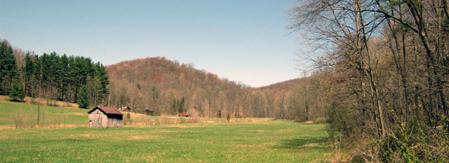 Peach Mountain