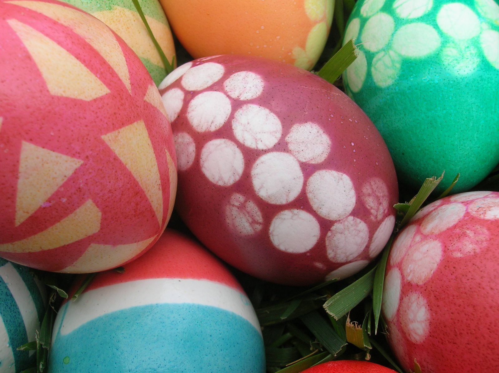 [easter_eggs_squid_closeup.JPG]