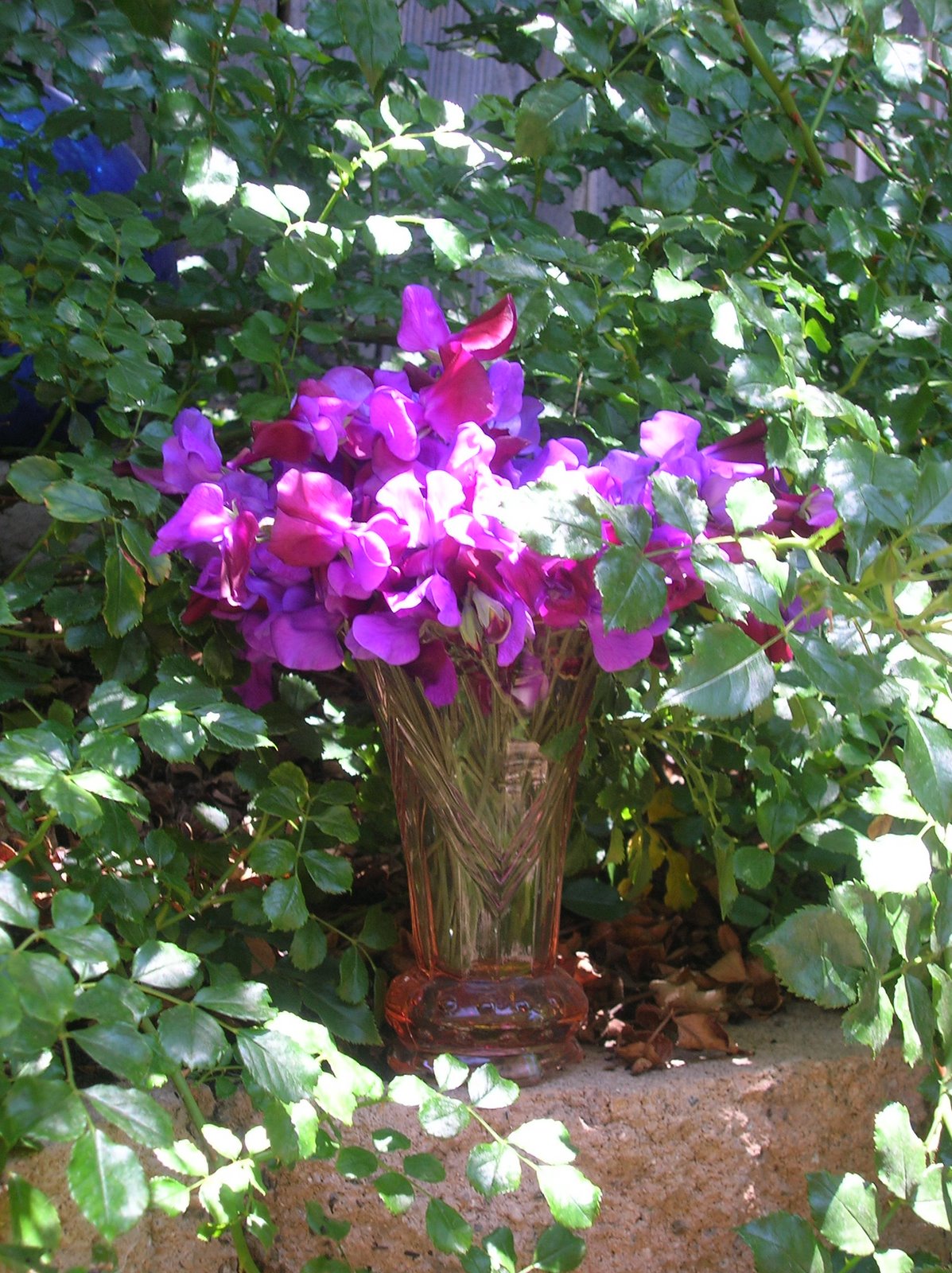 [springtime_sweetpeas_vase.JPG]