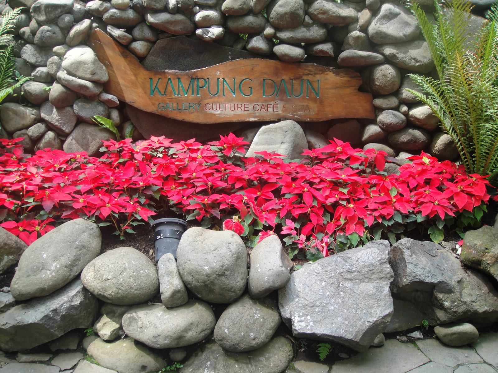 [DSC01185.JPG]