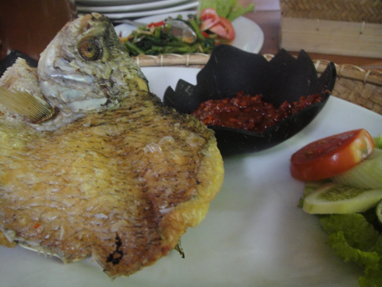 [DSC01204.JPG]