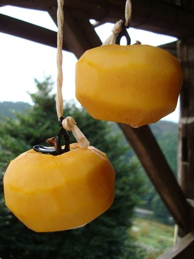 [20091022干し始め干柿+066.00.jpg]