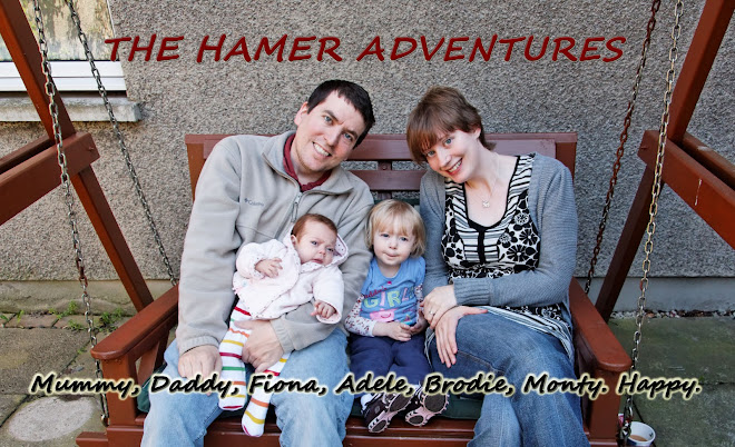 The Hamer Adventures