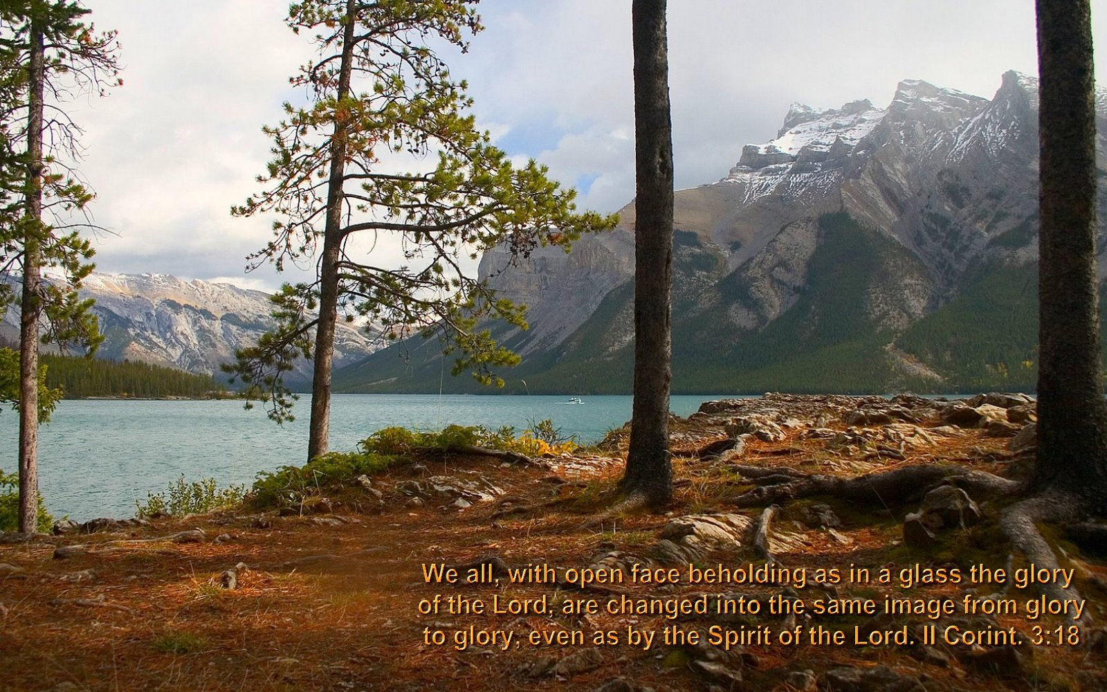Bible Quotes Pictures | Bible Verse Nature Backgrounds ...