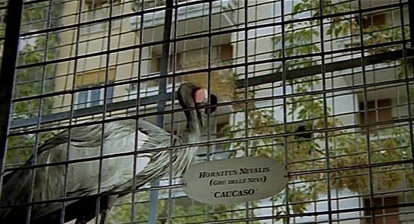 El Blog de Scotty : noviembre 2010