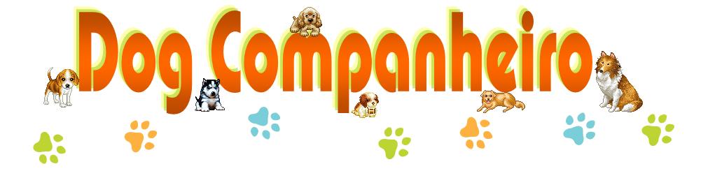 dog companheiro