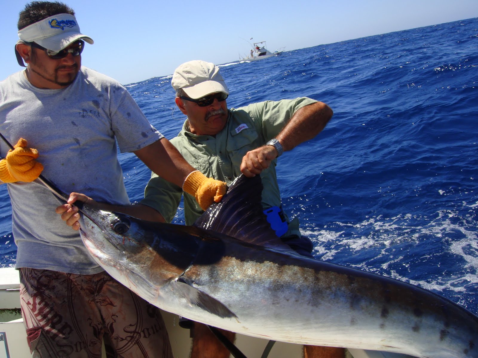 reisebericht-mexico-angelforum