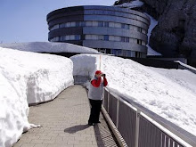 Suiza . Los Alpes