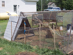 chicken recycled coop coops material ducks chickens turkey materials bok tractor them