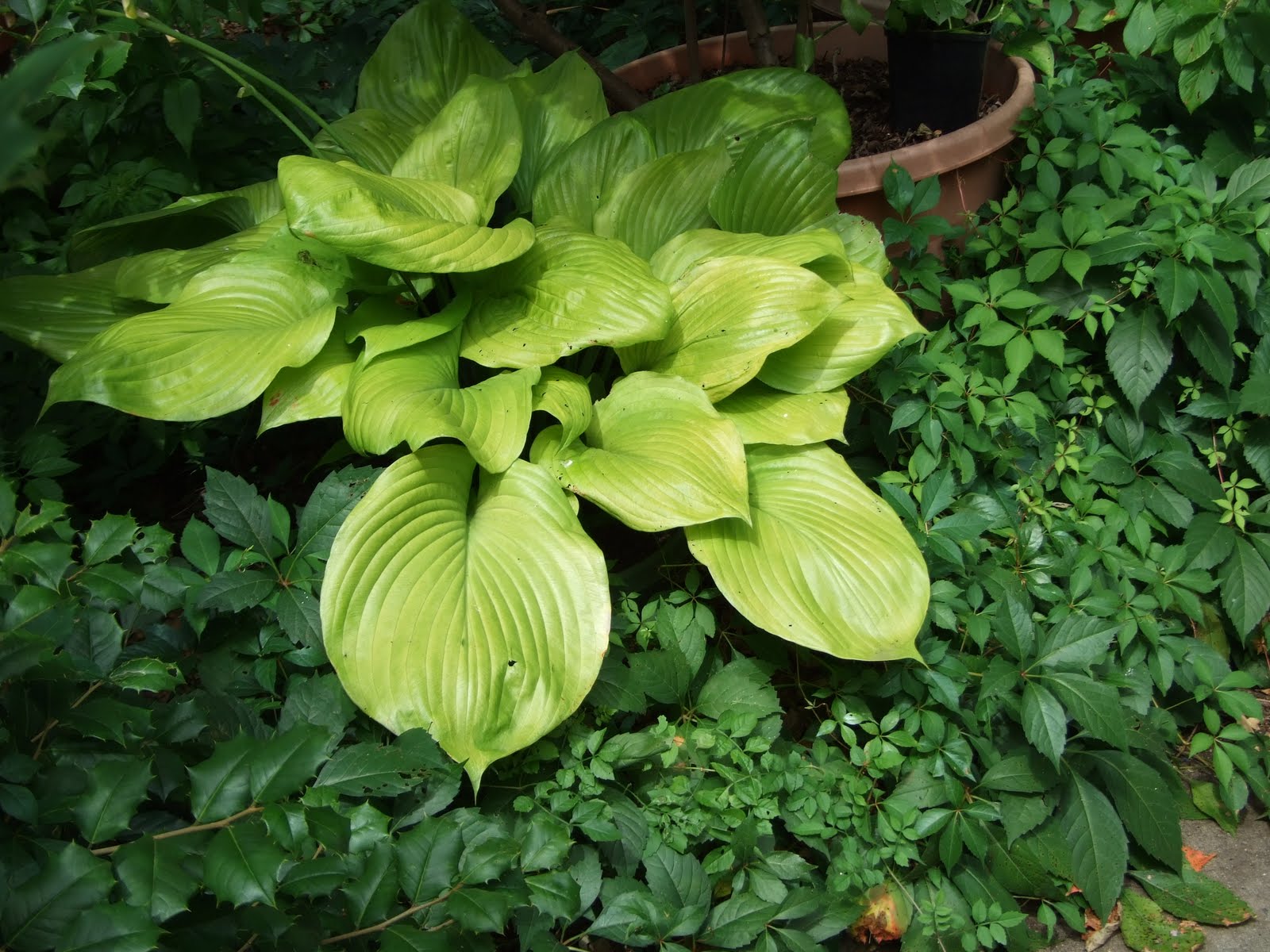 Meg’s Wildlife Sanctuary and Boot Camp Woodbine