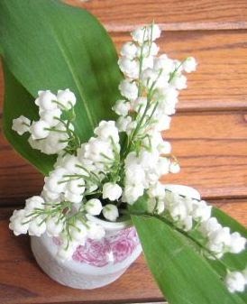 Blumensprache Maiglockchen