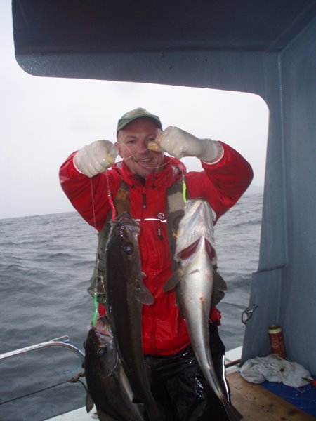 Dur travail de monter ces 26lbs de lieus jaune en une fois (belle triplette)