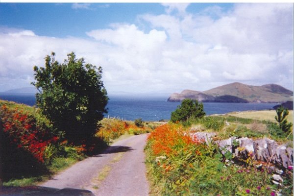 Un des parcours "plus gentil" sur Valentia Island