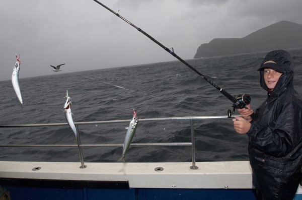 Great fun on makrels during this junior day