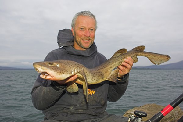 A top bull huss on Reenard Point