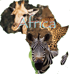 WELCOME TO AFRICA