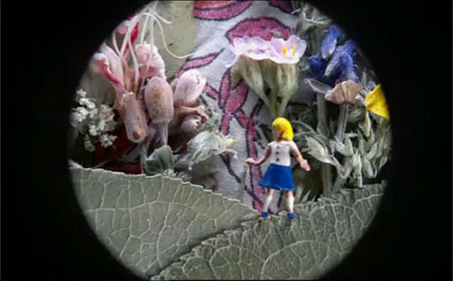 Video : Small Wonderland.
