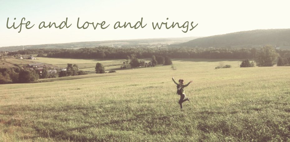 life and love and wings