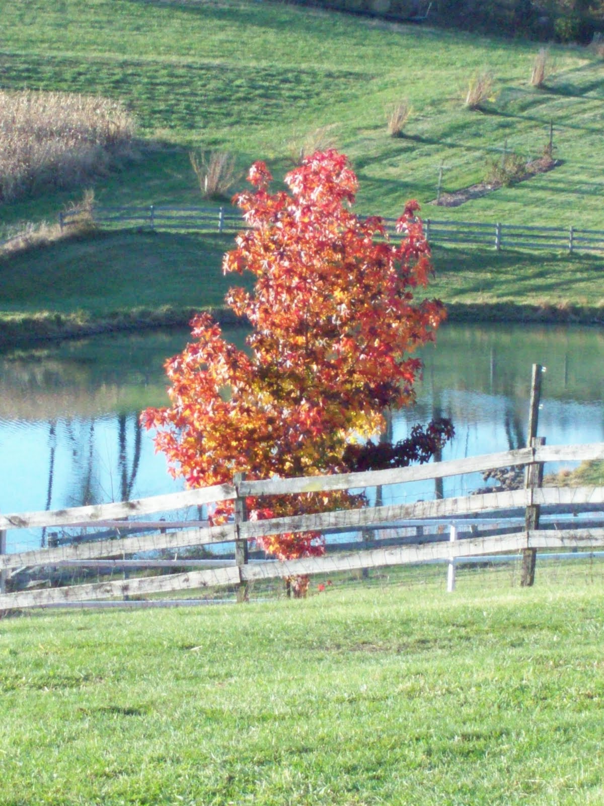 The Ramsey Family West Virginia