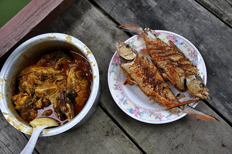 Sebarau TOMX FRESH WATER FISHING: SEBARAU PERGAU MENGGANAS