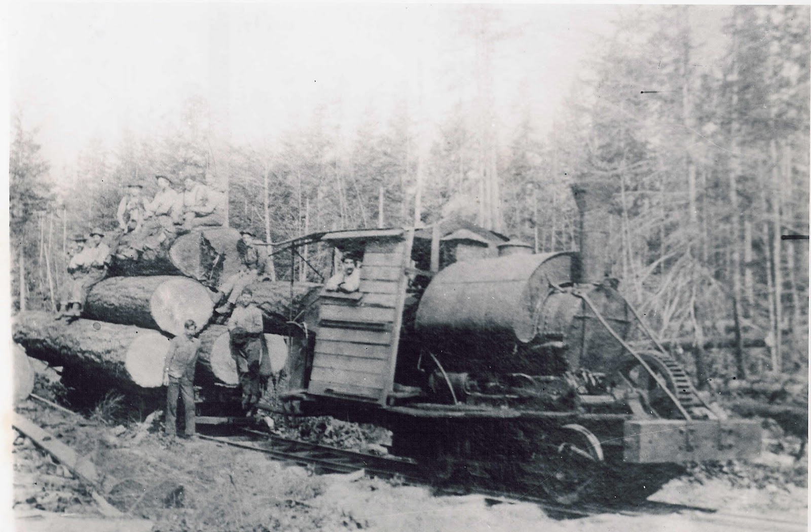 Shoreline Area News LFP History 1 Logging railroad along Lyon Creek