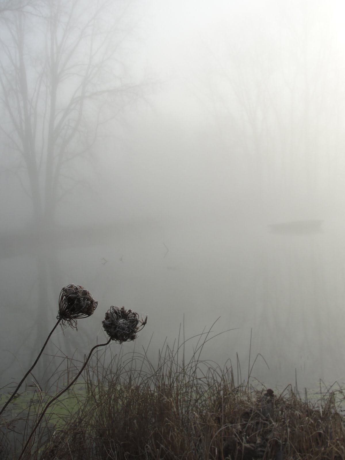 Unveiling The Mystery Of Misty Wet Weather - ji1ar5z