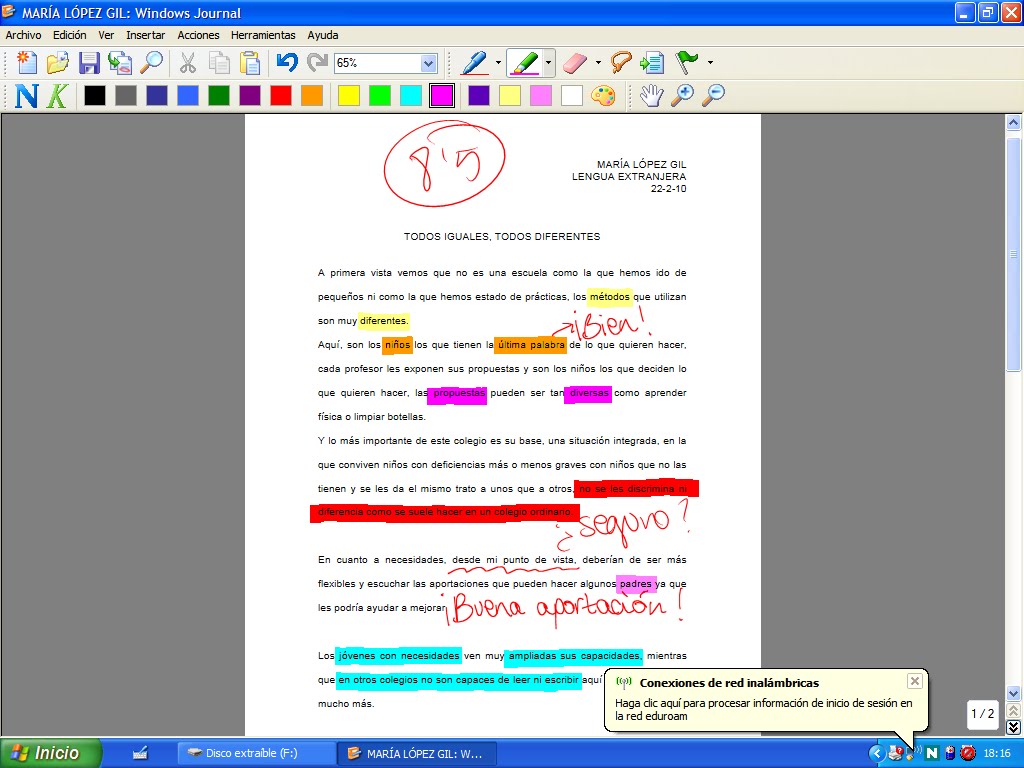 Mary Windows Journal