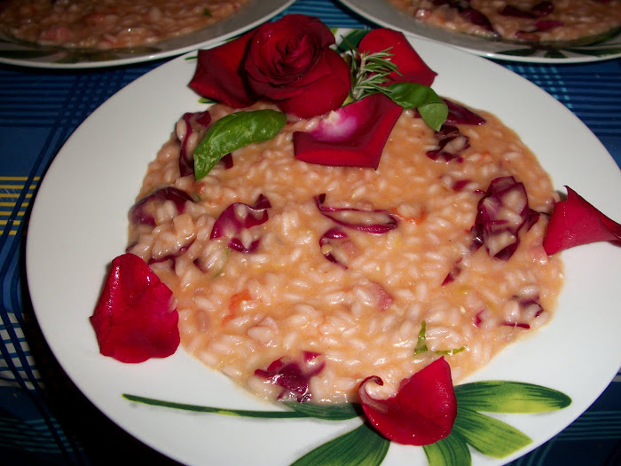 i miei risotti 2010